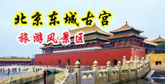 骚逼被艹逼出水视频中国北京-东城古宫旅游风景区